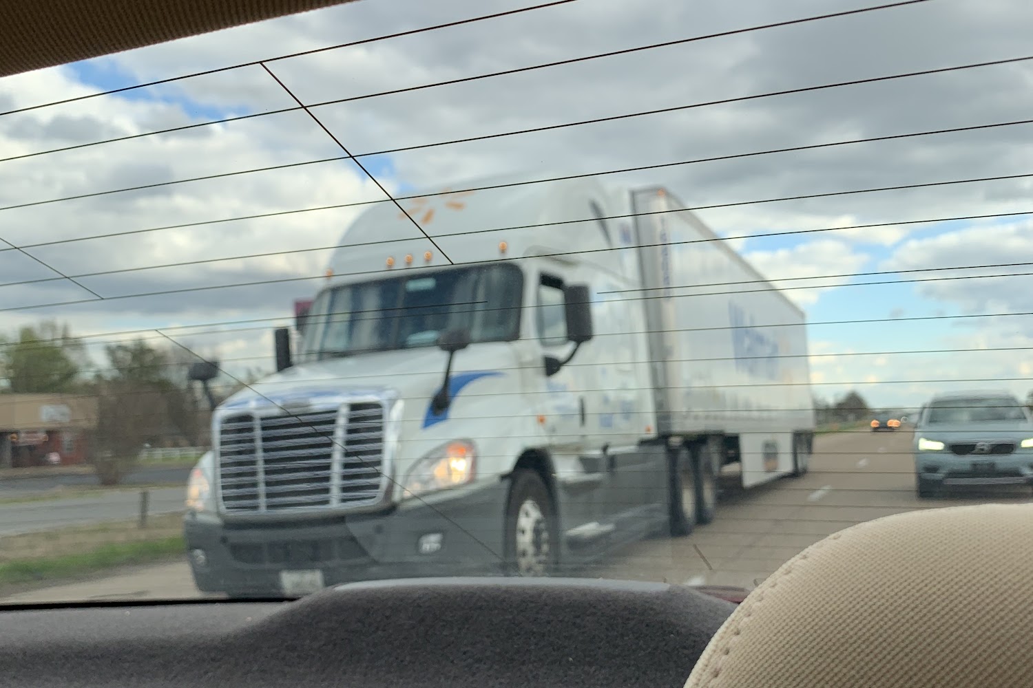 People for Animals Welfare Society