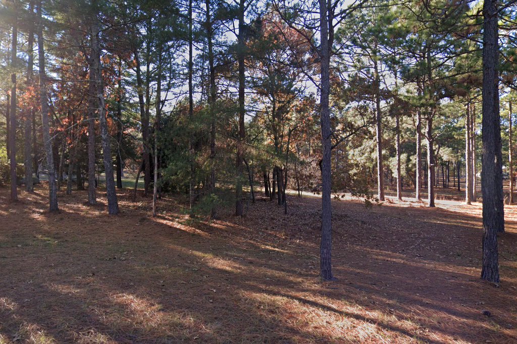 Hope Springs Forward