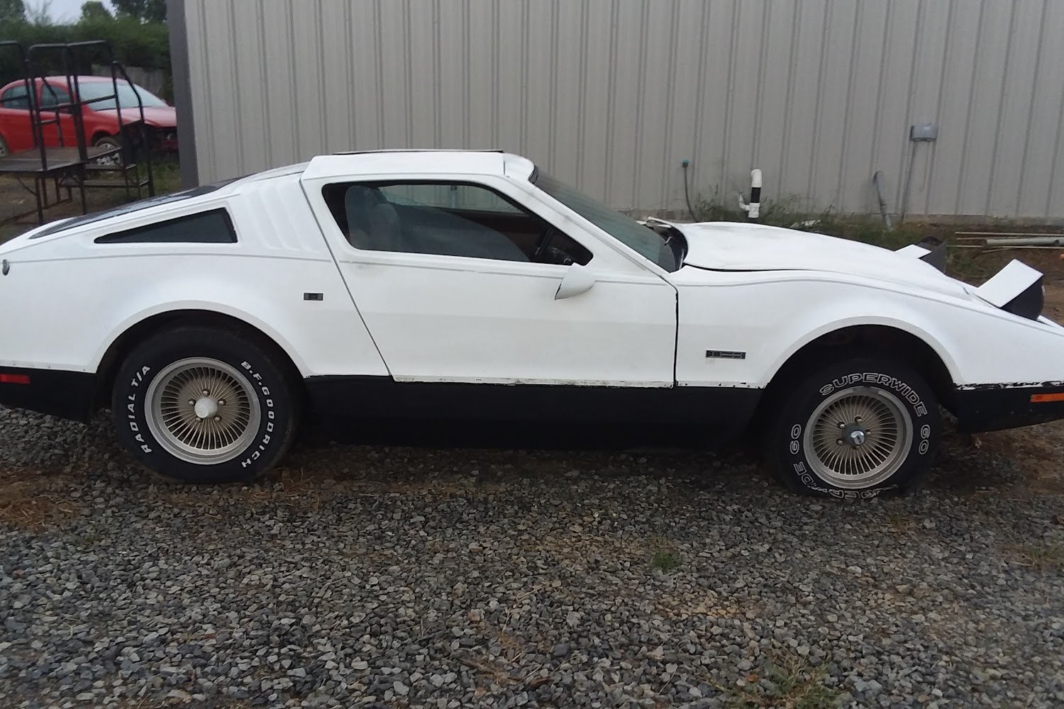 White County Humane Society