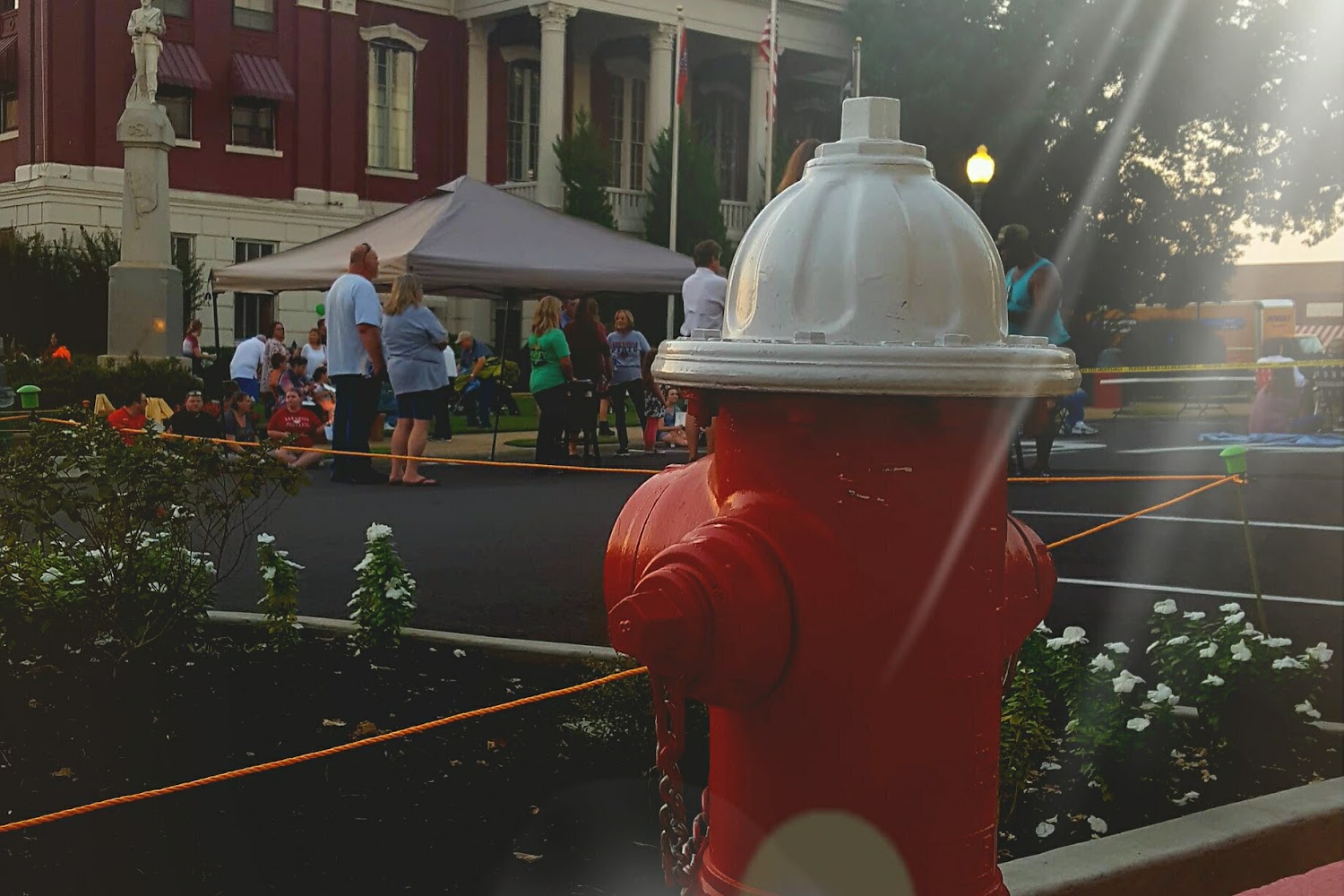 Wild Trax Feline Refuge