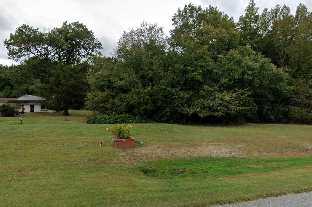 Companion Animal Practice