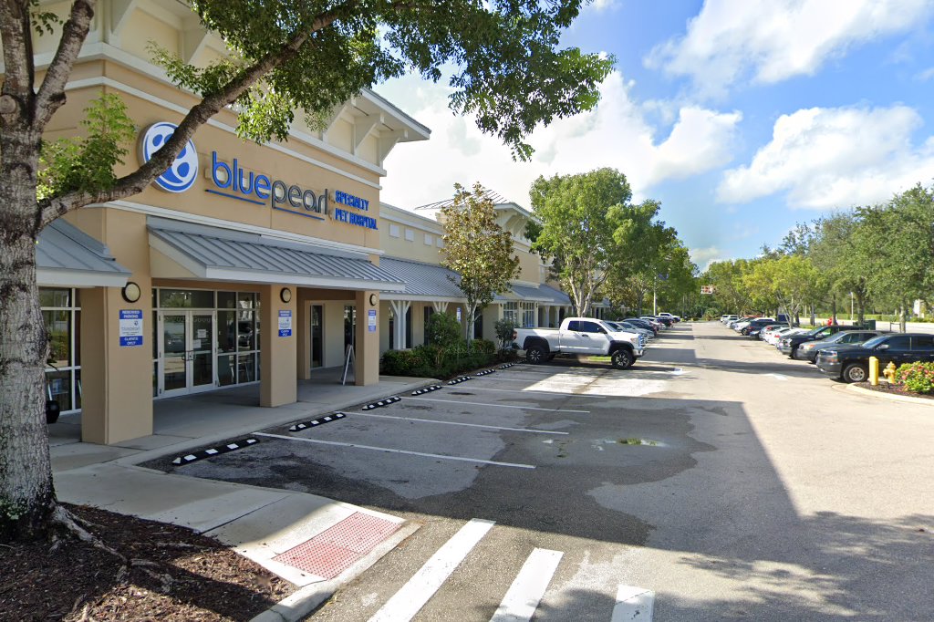 Animal Specialty Hospital of Florida