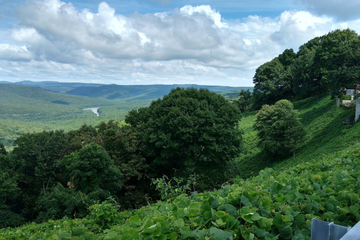Pineville Animal Shelter