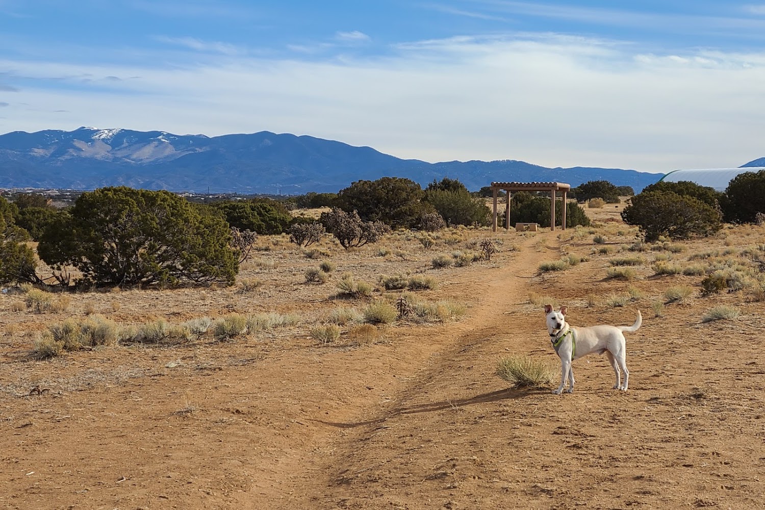 Santa Fe Animal Shelter & Humane Society