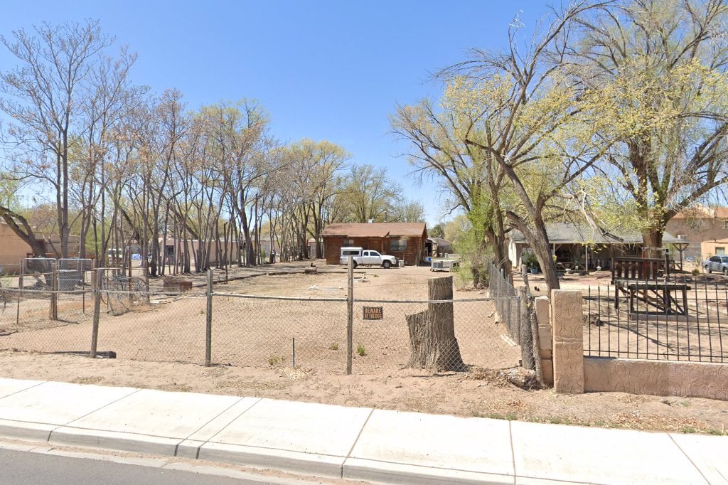 Central New Mexico Brittany Club Rescue