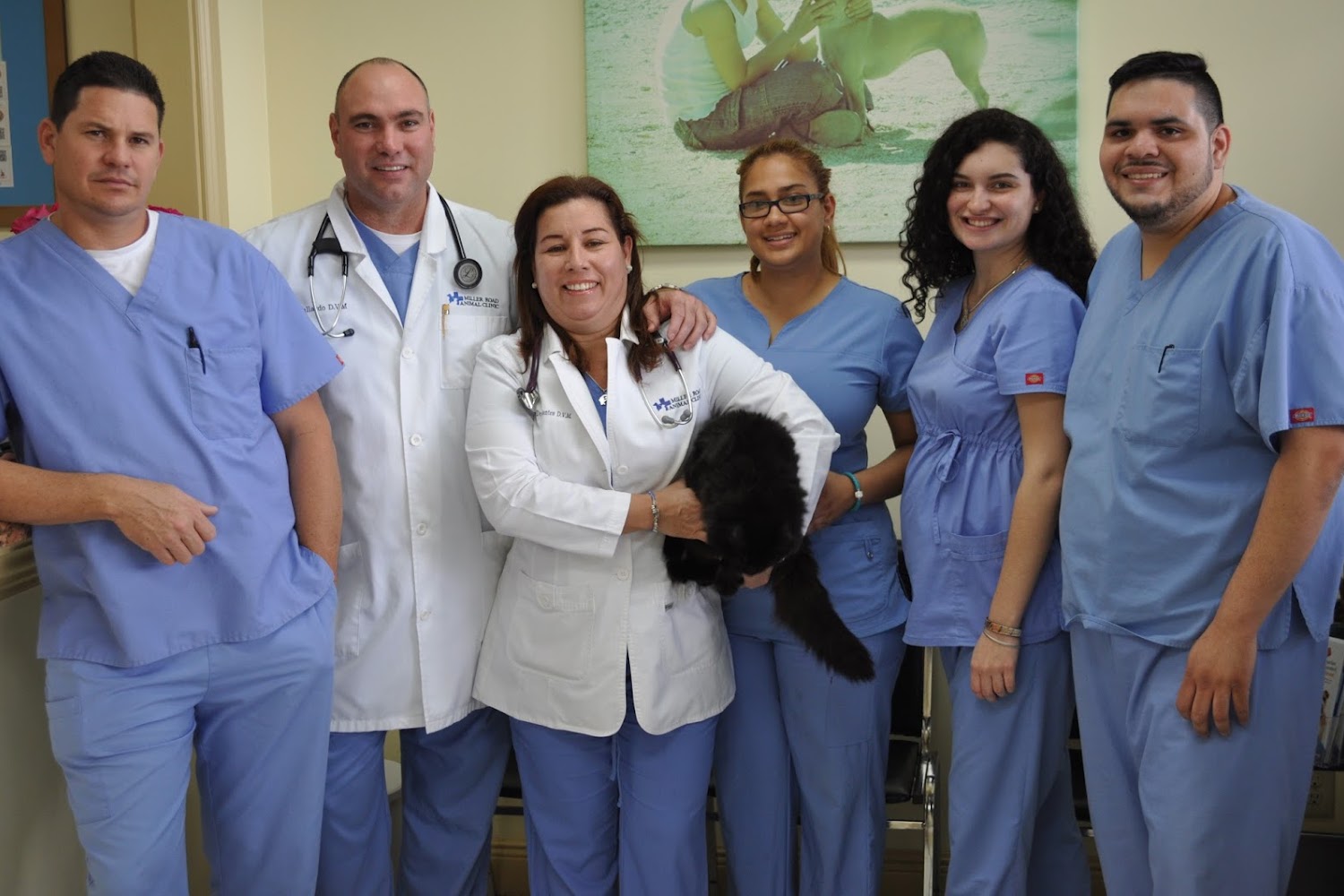 Small Paws Animal Hospital