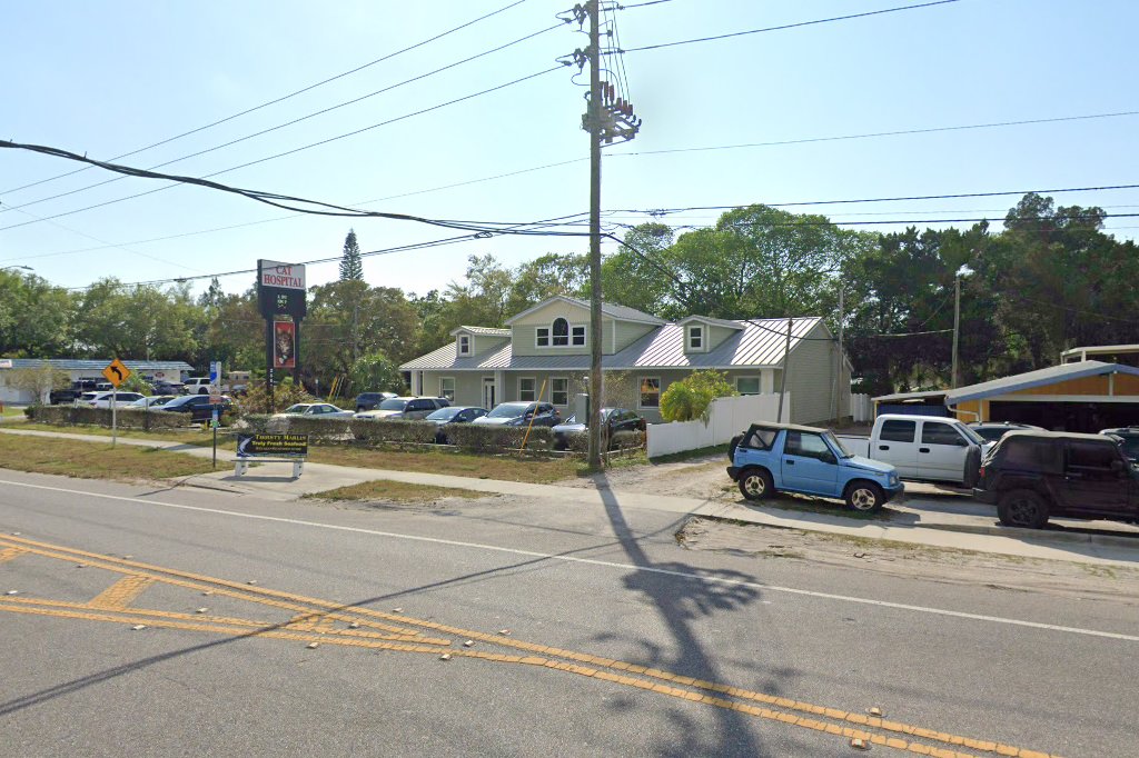 Cat Hospital At Palm Harbor
