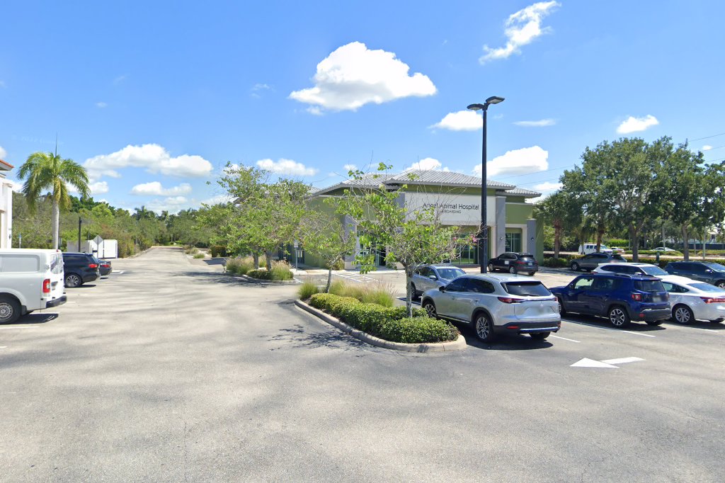 Angel Animal Hospital & Boarding