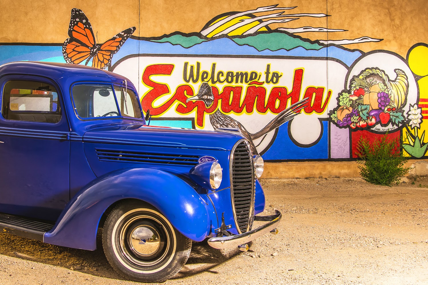 Rio Arriba County Animal Control