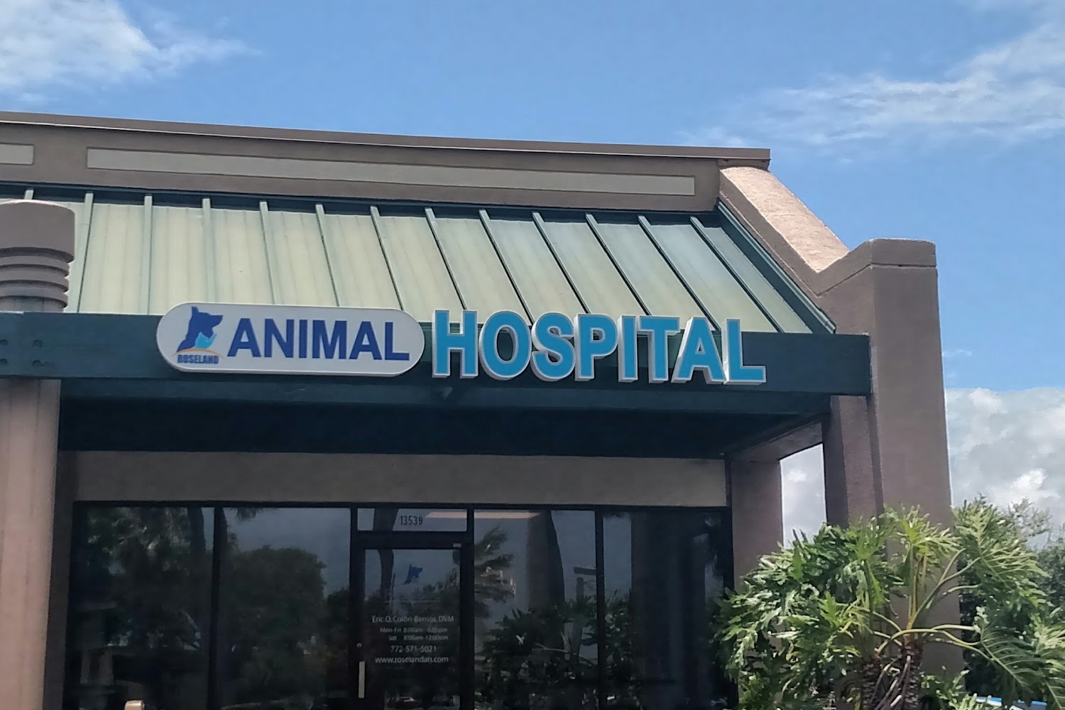 All Creatures Great and Small Animal Hospital