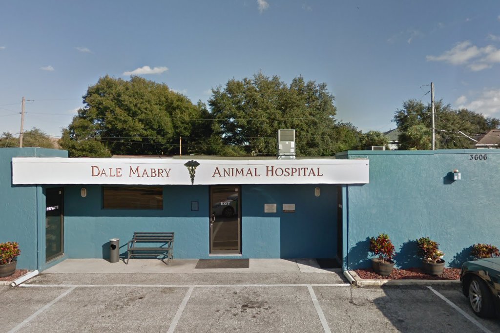 Dale Mabry Animal Hospital