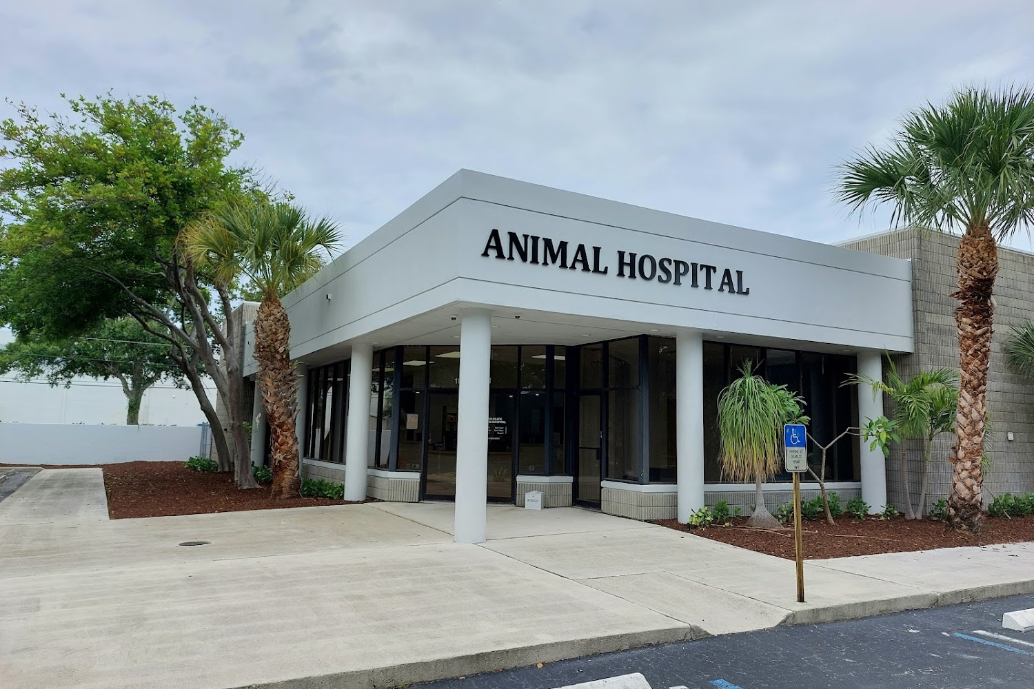 Town & Country Animal Hospital