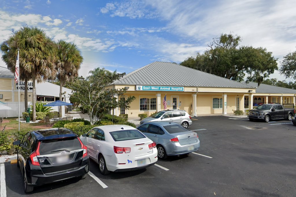 Lutz East West Animal Hospital