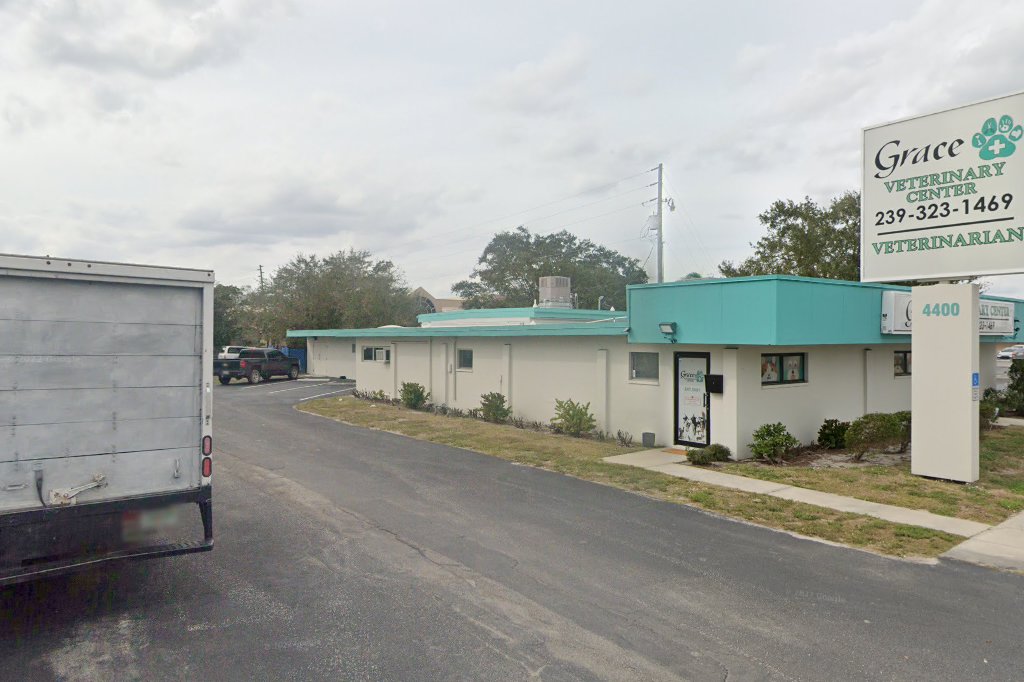 VCA Miracle Mile Animal Hospital