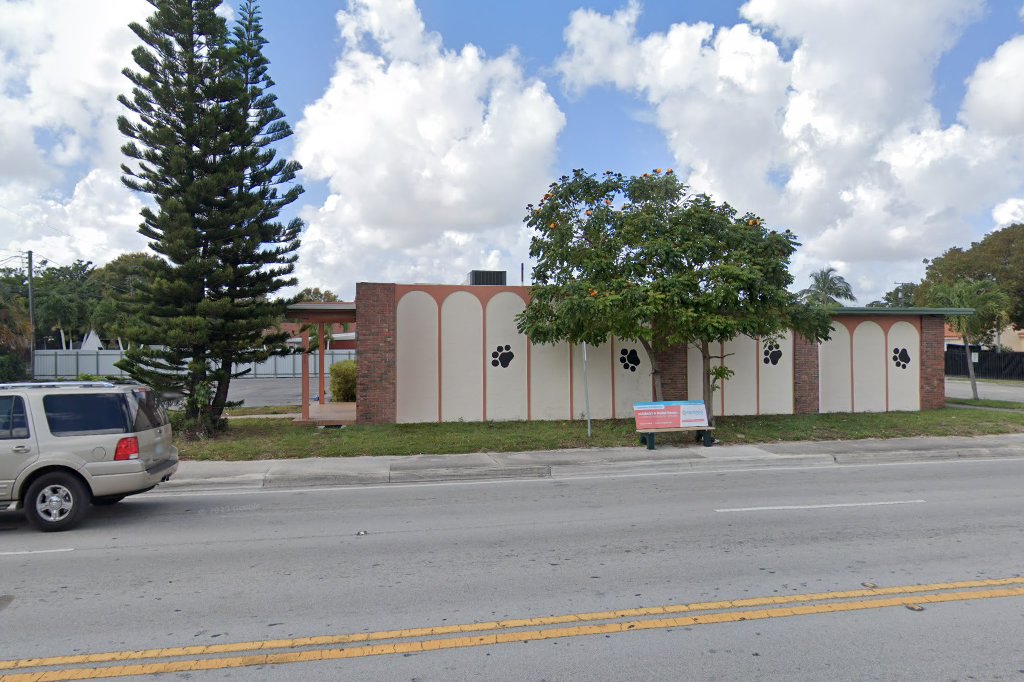 Junglelife Animal Hospital