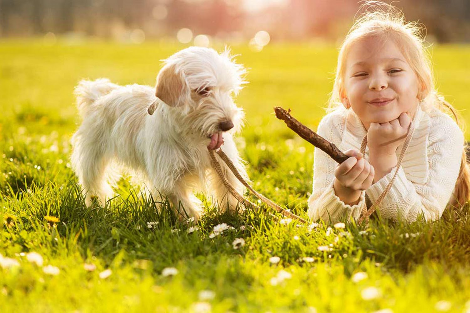 Lantana-Atlantis Animal Hospital