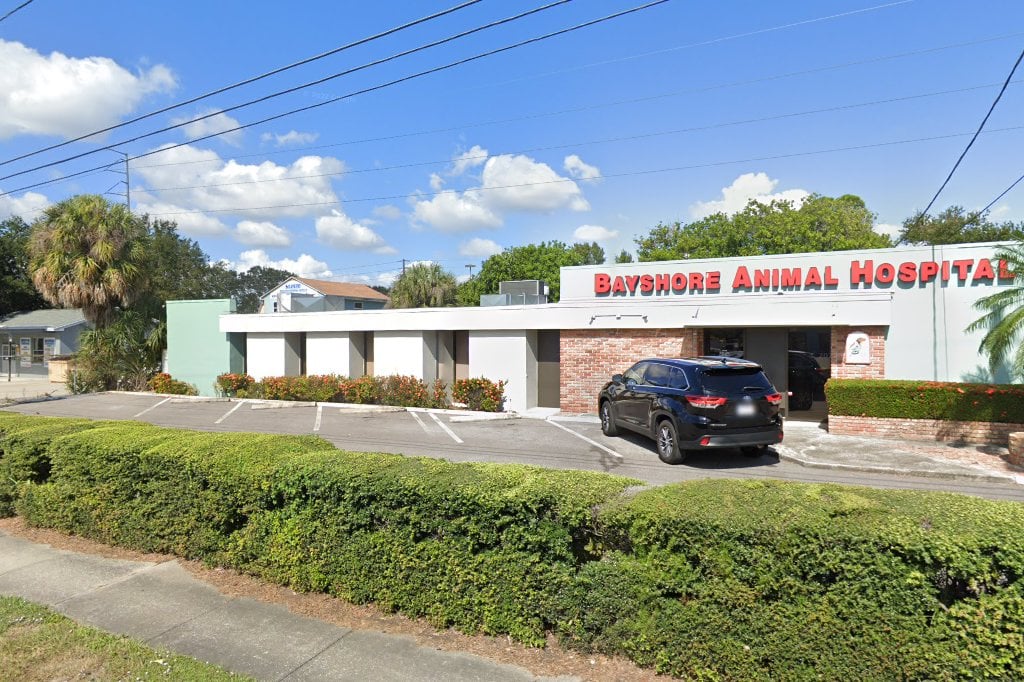 Bayshore Animal Hospital & Avian Practice