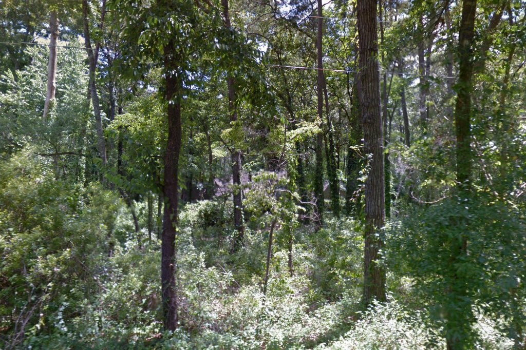 Tallahassee Collie Rescue