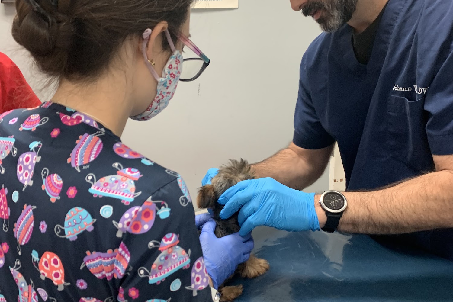 Bustillo Animal Hospital