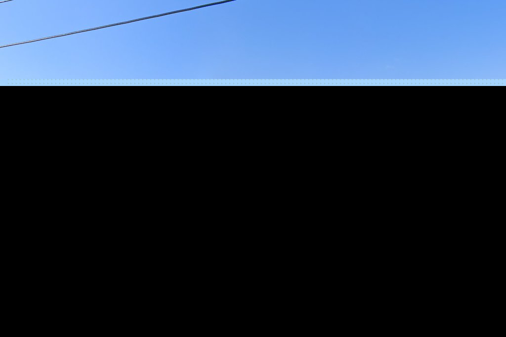 Rawl Veterinary Hospital