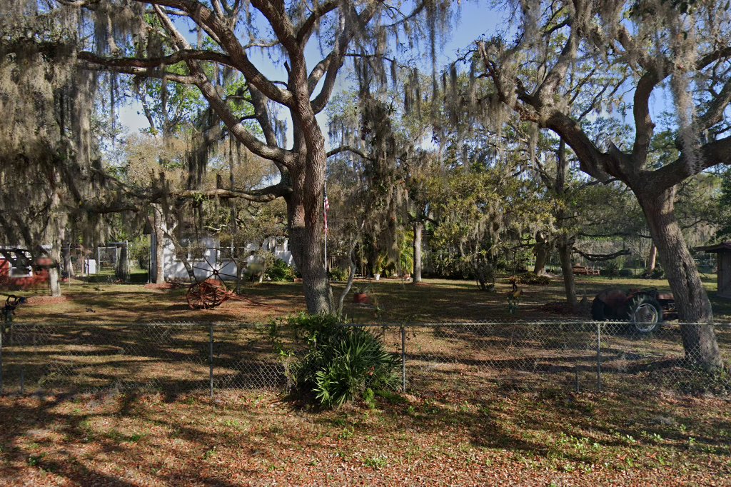 Fallin' Pines Critter Rescue