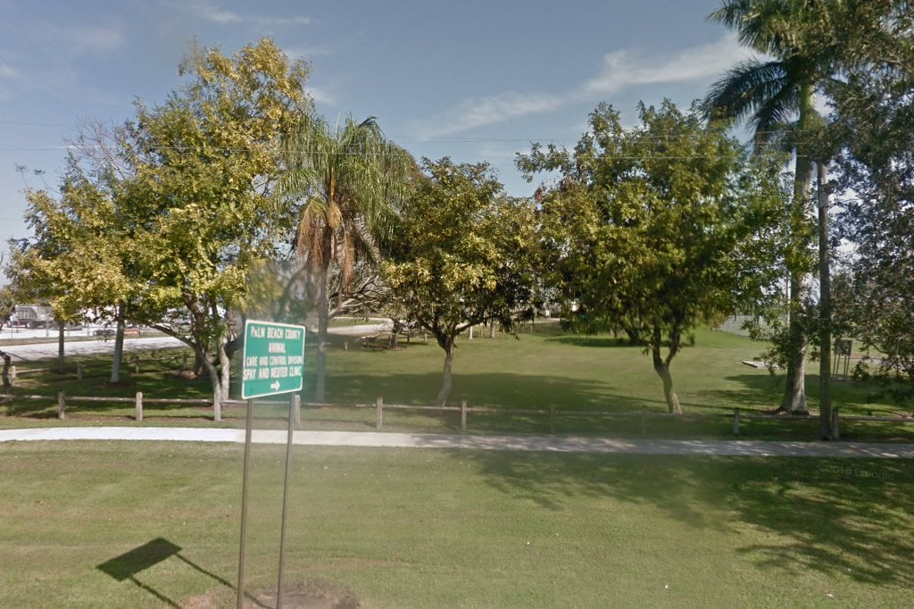 Palm Beach County Animal Control