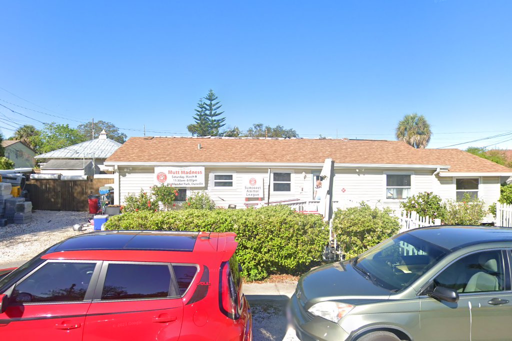 Palm Harbor Animal Control