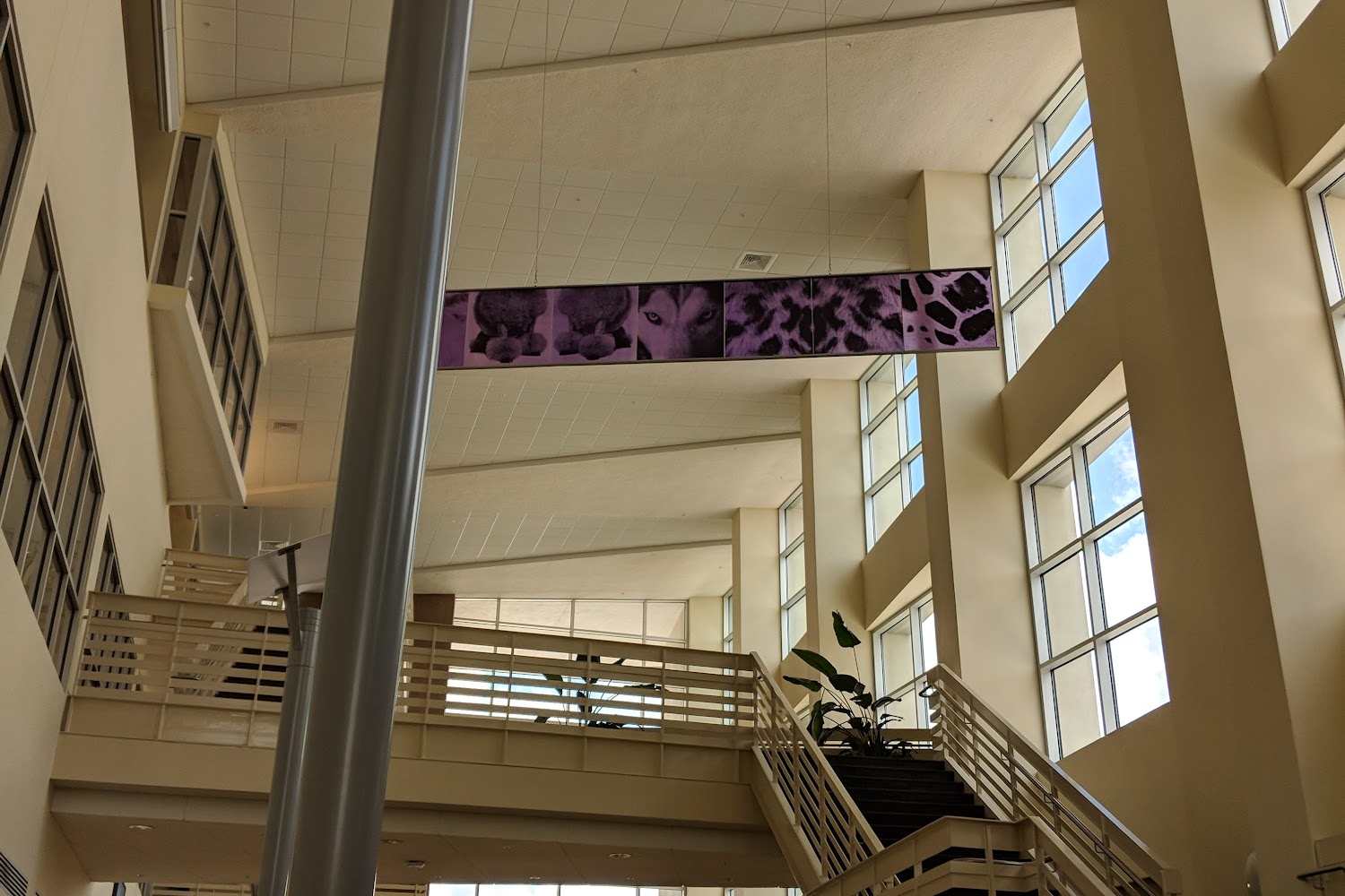 UF Large Animal Hospital