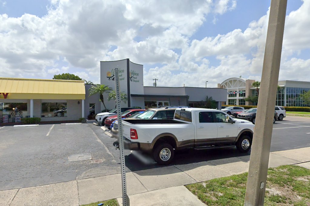 Gulfshore Animal Hospital