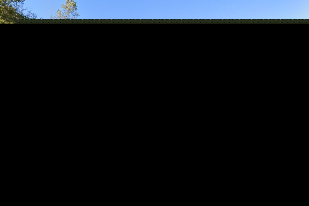 Forrest Avenue Animal Hospital