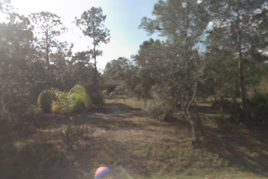 Heartland Cat Rescue Adoption Society, Inc.