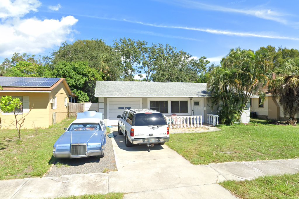 Heavens Safe Haven Stray Cat Rescue