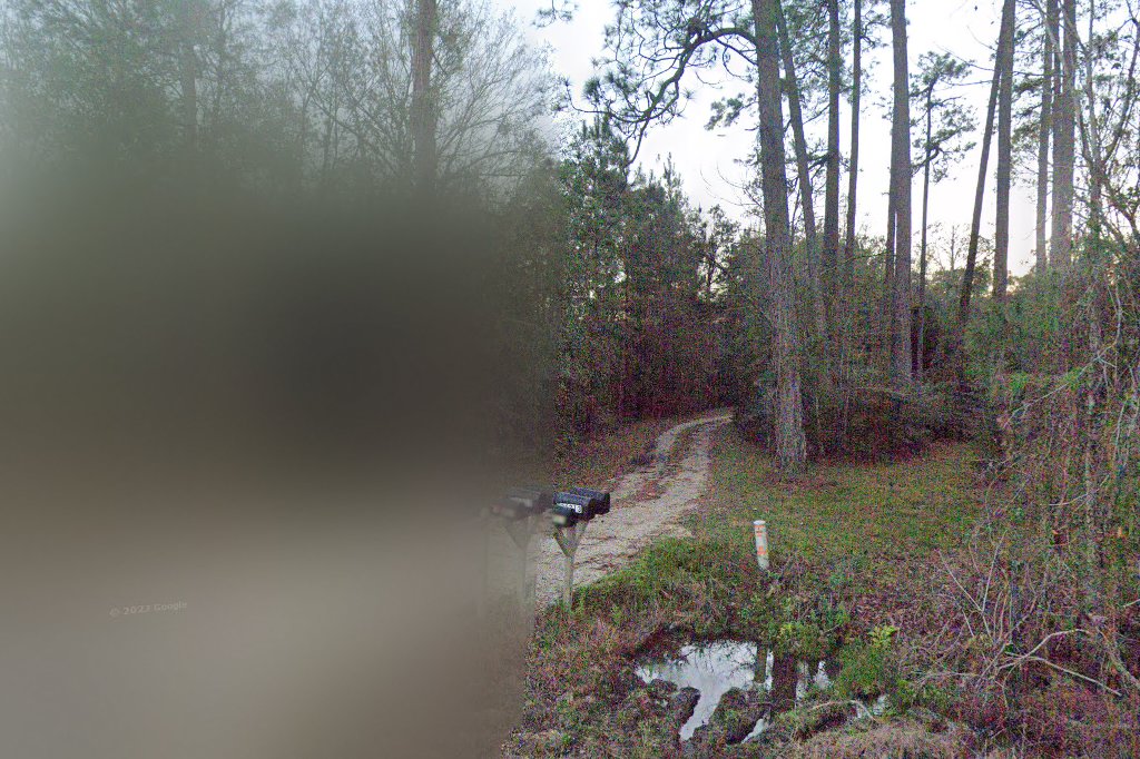 Folsom Animal Control