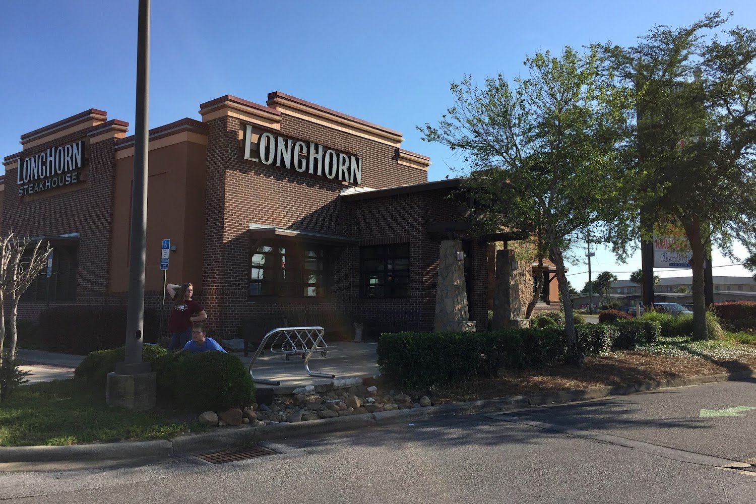 Save Our Cats & Kittens, Inc.