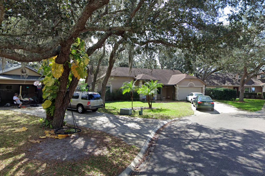 Golden Retriever Rescue Adopt