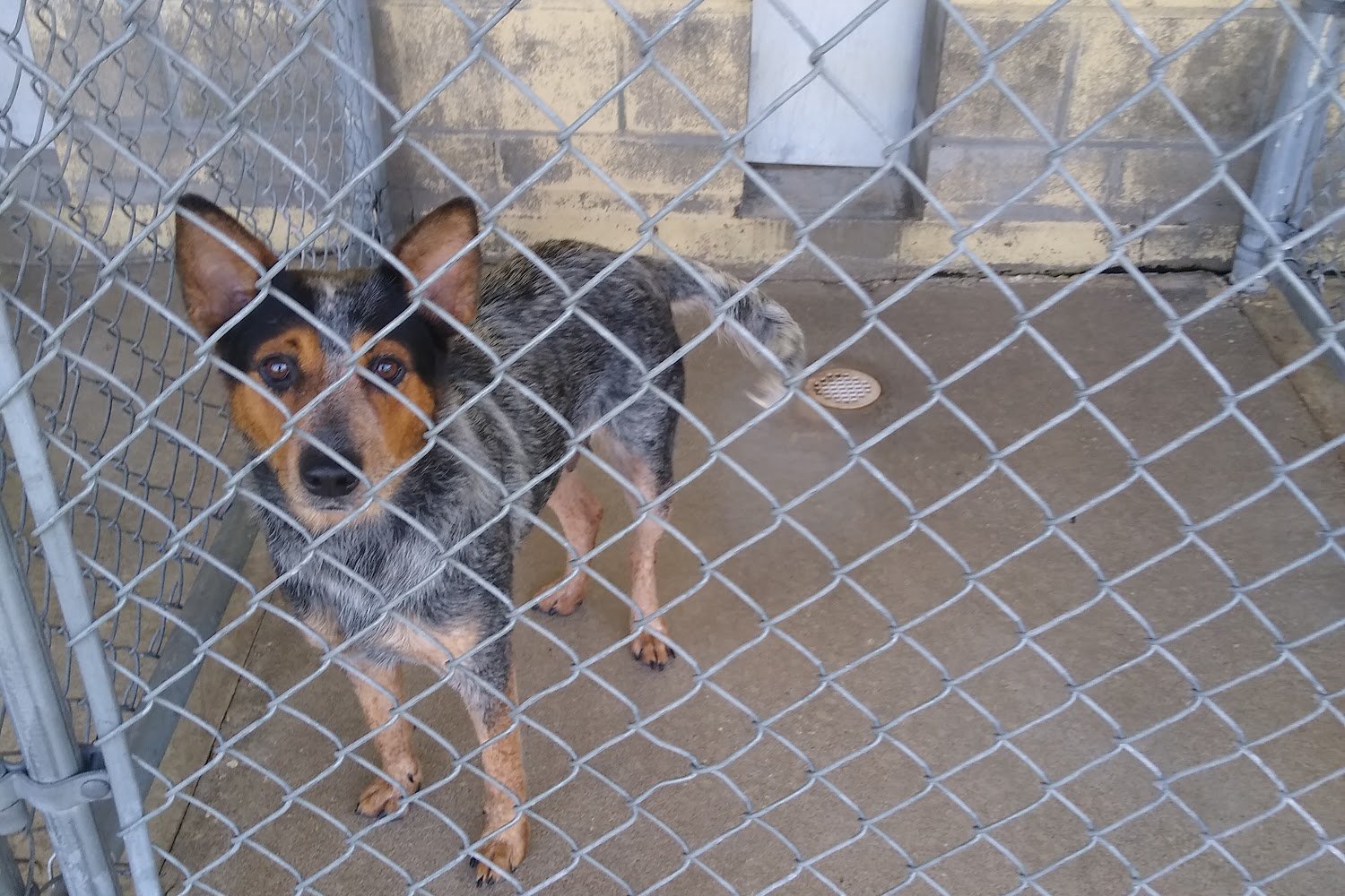 Baker County Animal Control