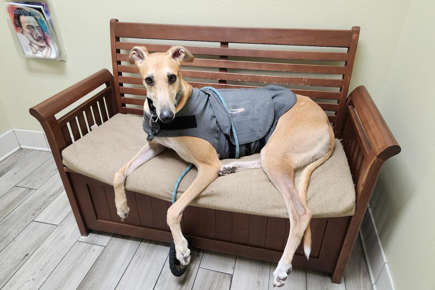 Sunset Point Animal Hospital