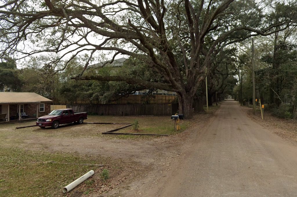 Rowe's Orphanage for Cats and Kittens