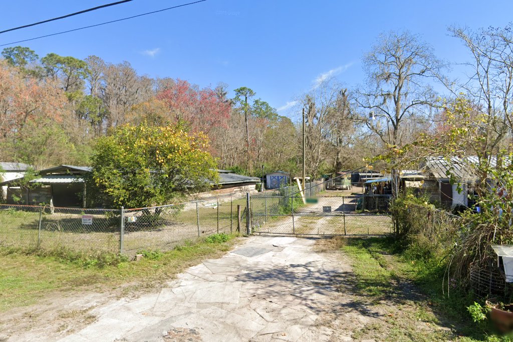 Noah's Ark Pot Belly Pig Rescue