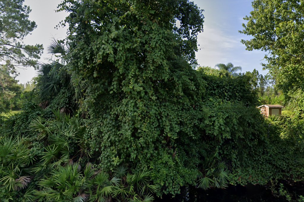 A Place for Animals Sanctuary and Rescue Inc .