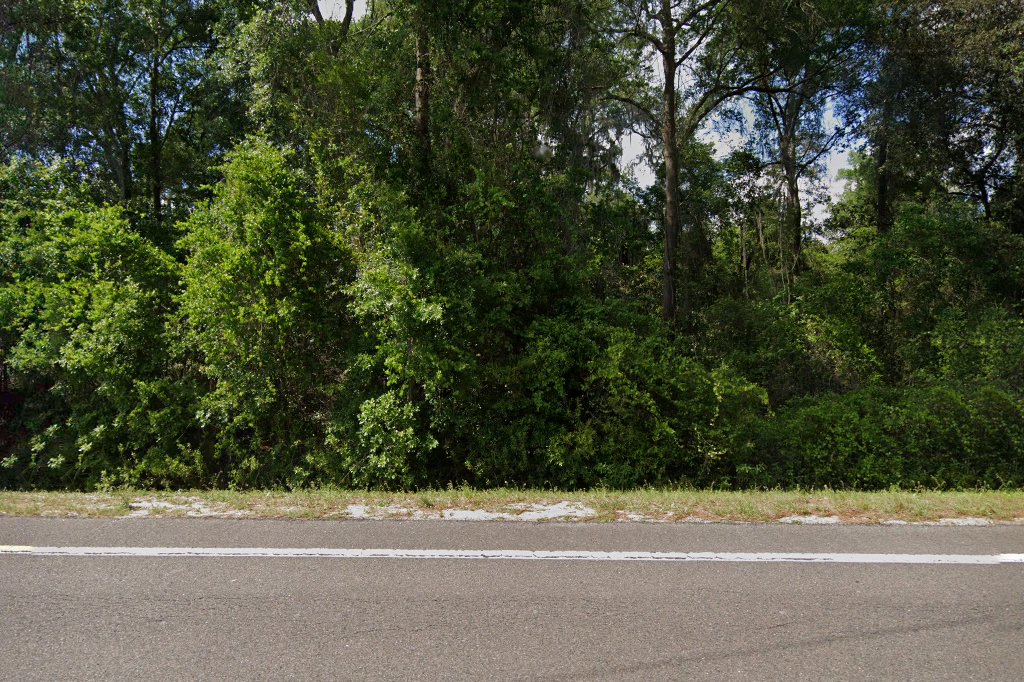 Border Collie Rescue