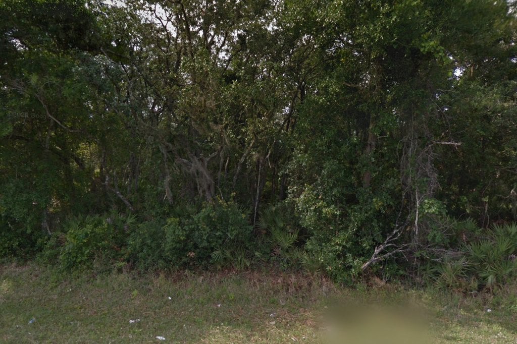 Cat Protection Society