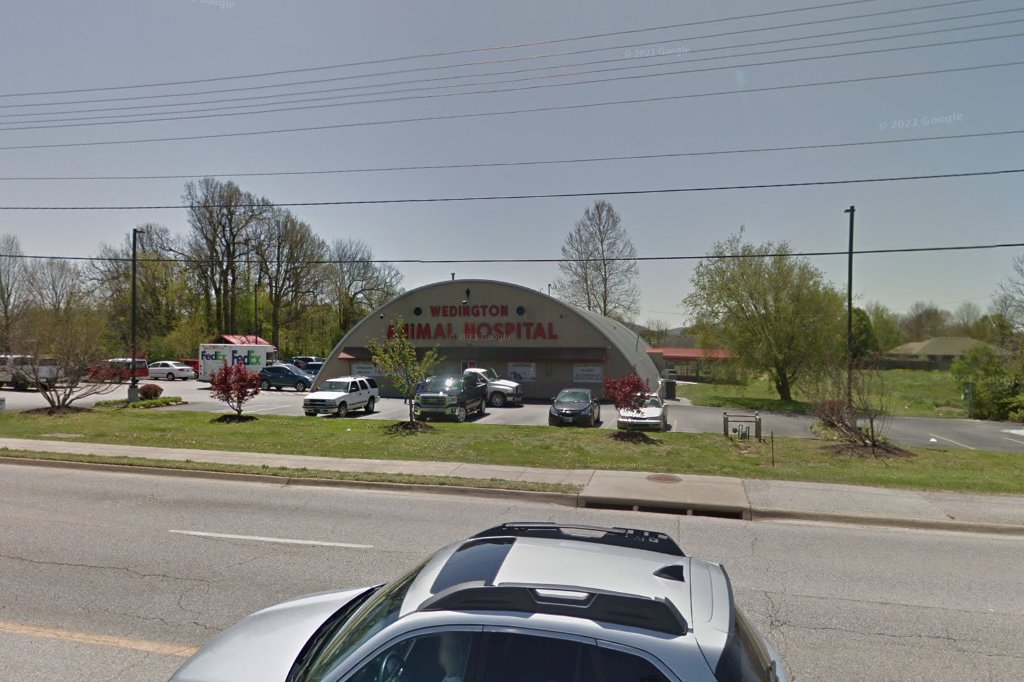 North College Animal Hospital