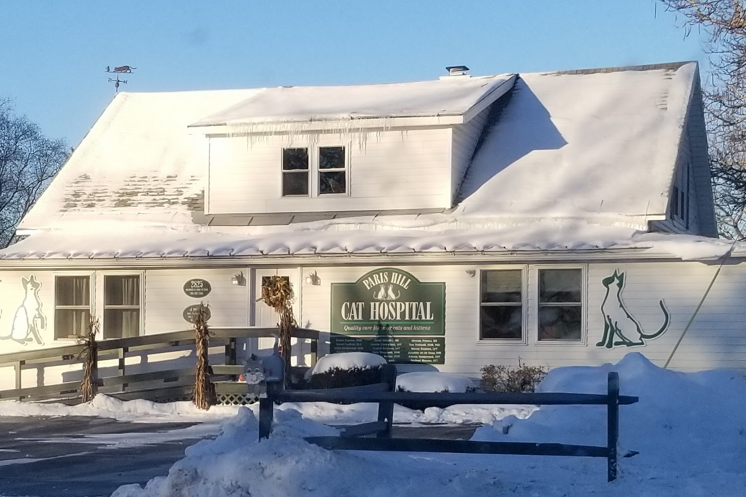 Paris Hill Cat Hospital