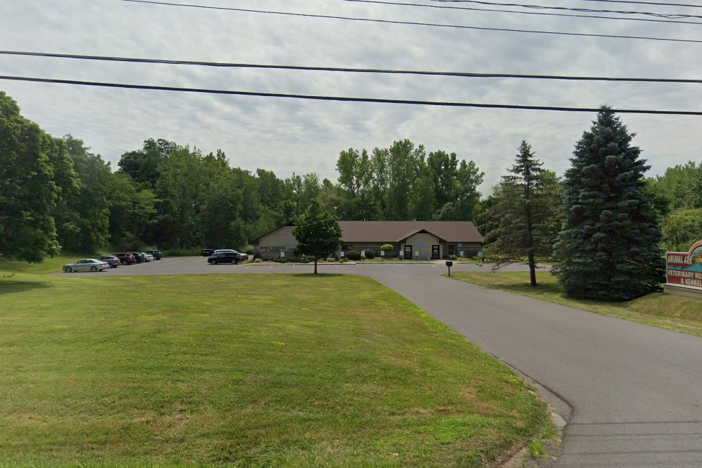 Animal Ark Veterinary Service