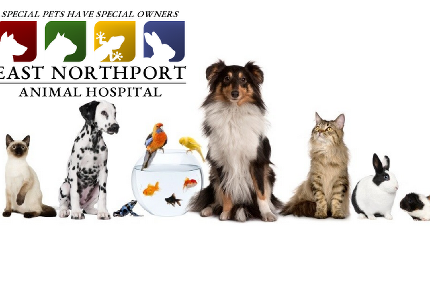 East Northport Animal Hospital