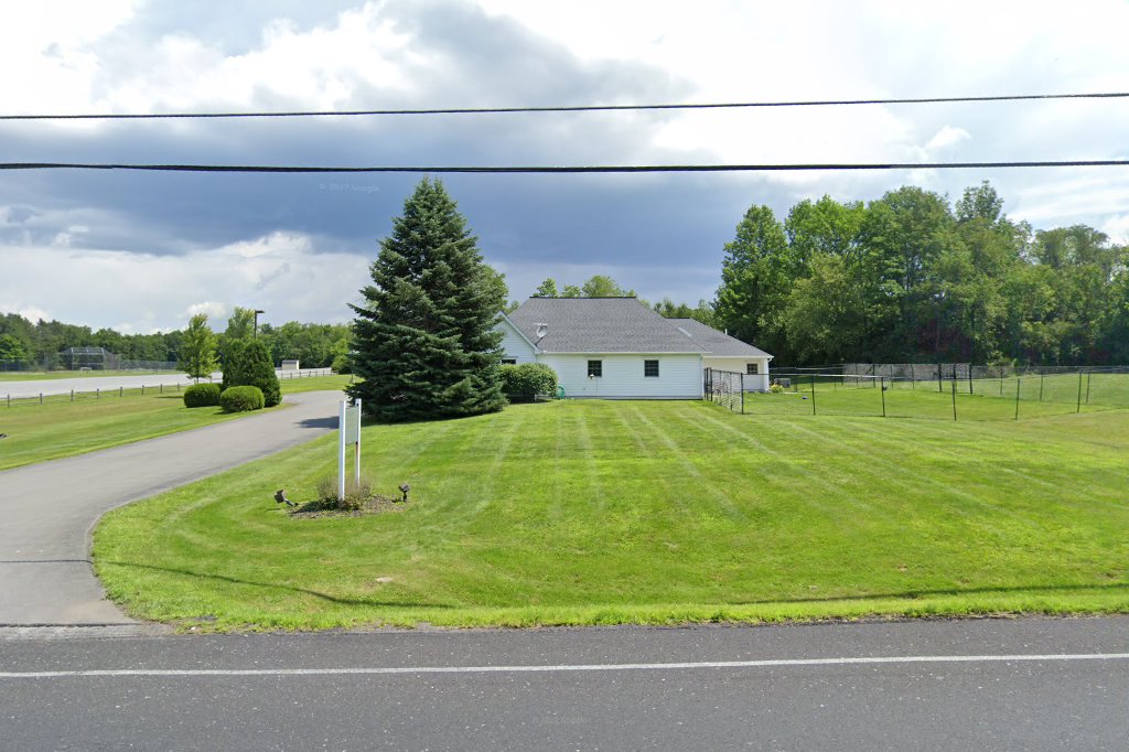 Galway Veterinary Hospital