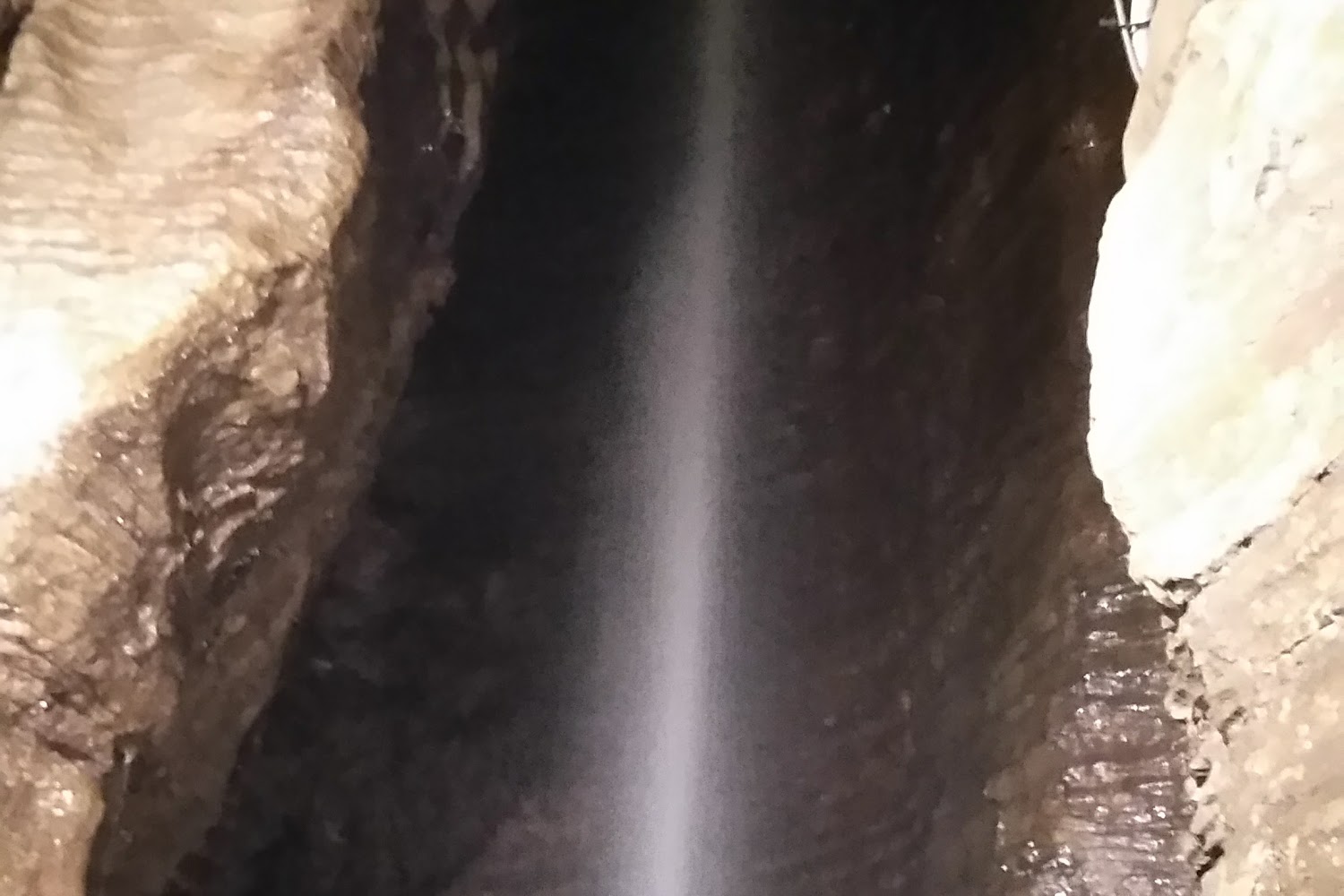 Howes Cave Animal Hospital