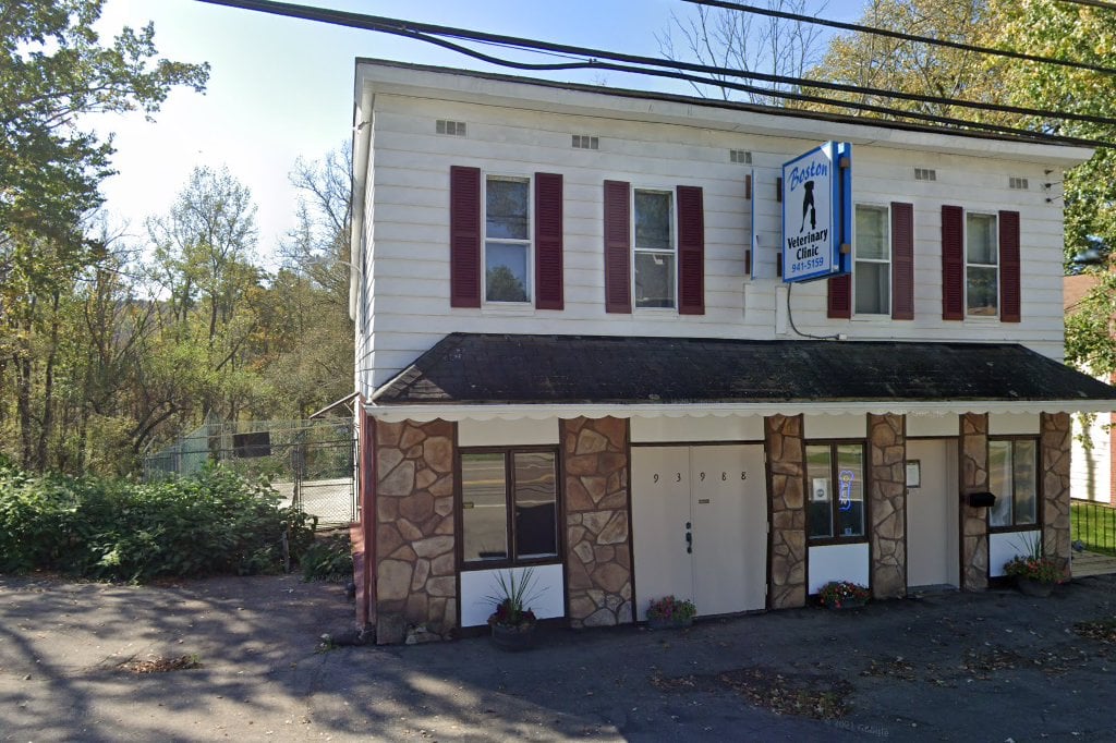 Boston Veterinary Hospital