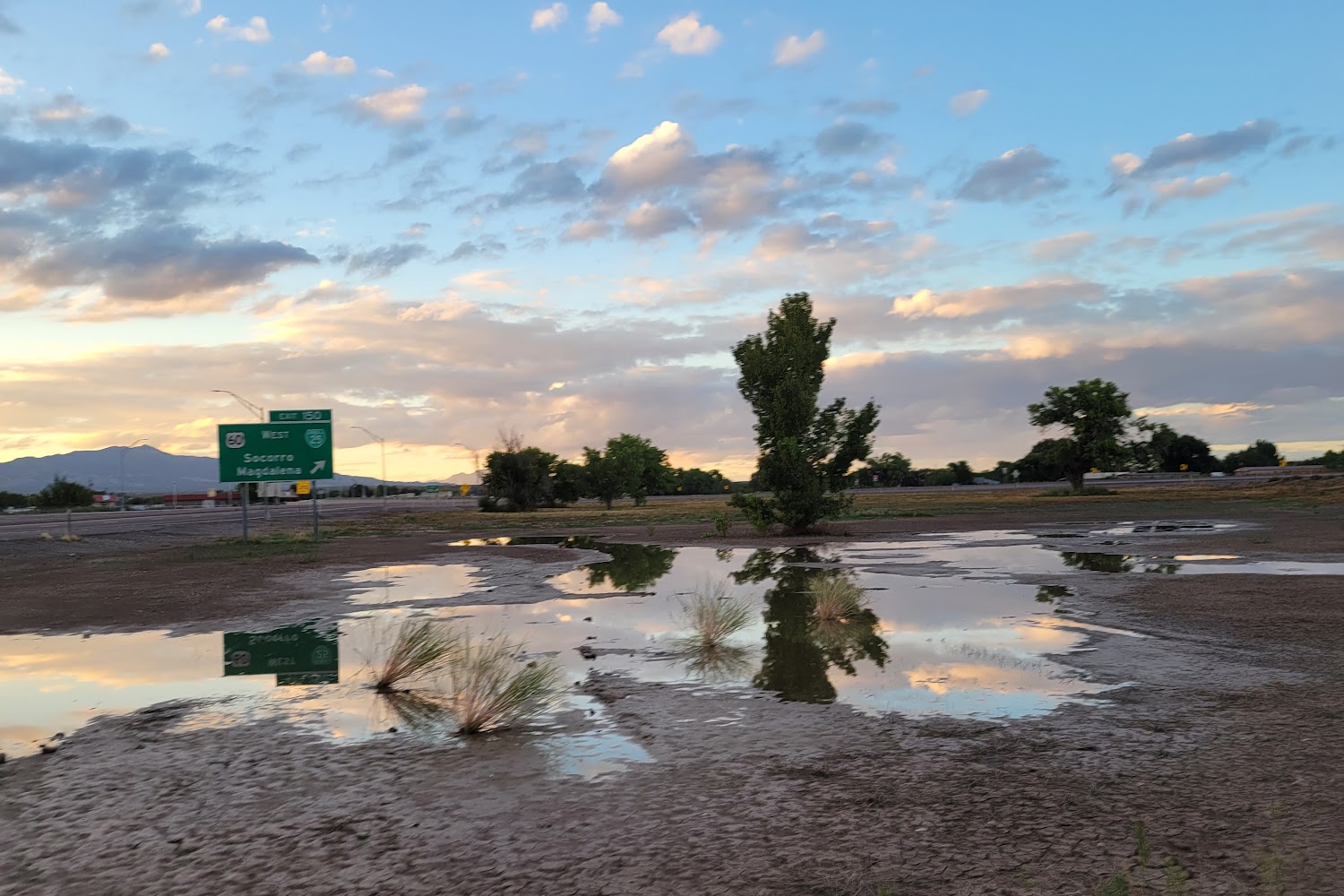 Socorro Animal Control and Shelter